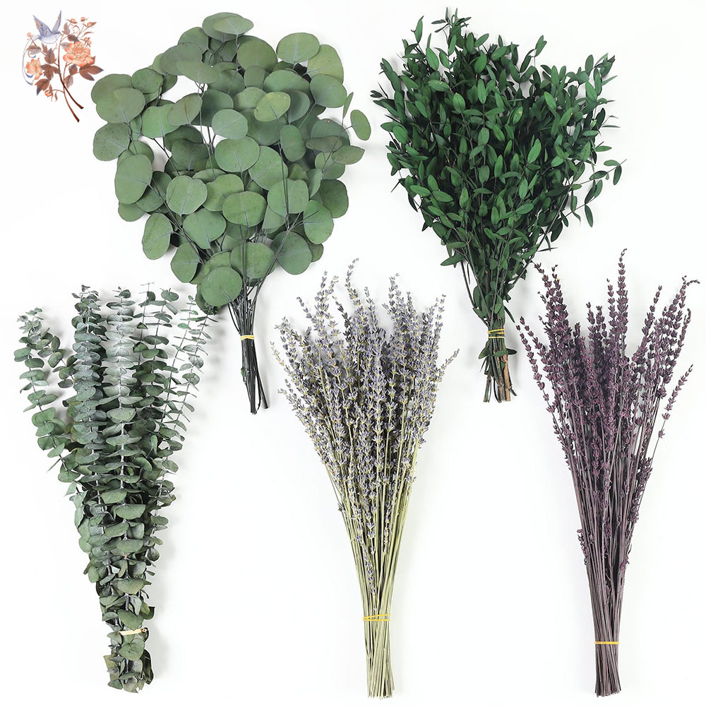 110 Adet Karışık Kurutulmuş Ok - Home Fragrance Fillers incelemesi ve fiyatı
